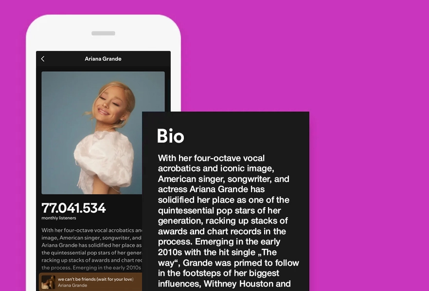 Artist profile optimization example